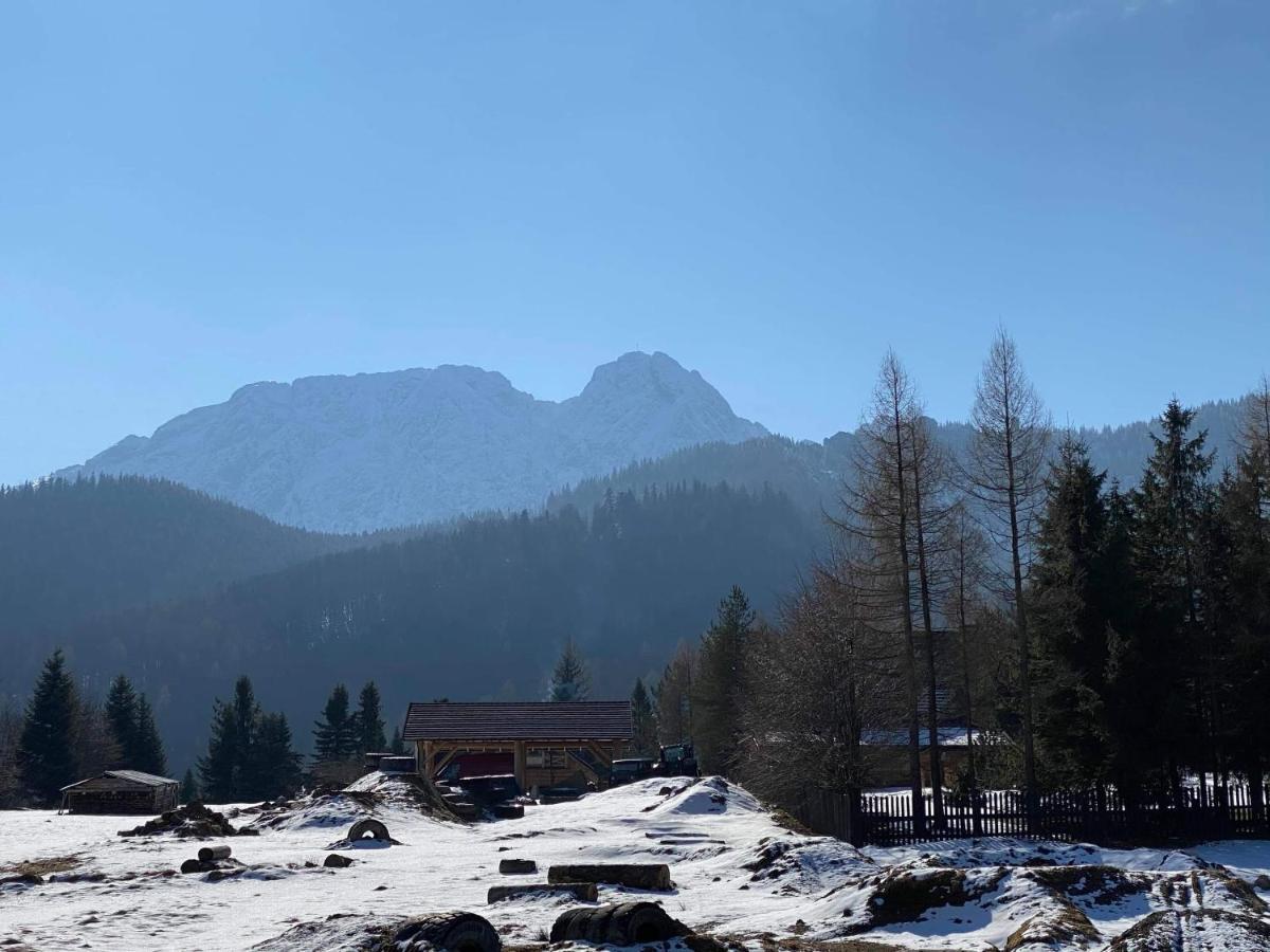 Viva Maria -Sky Moszczak Apartments&Spa Zakopane Exterior foto